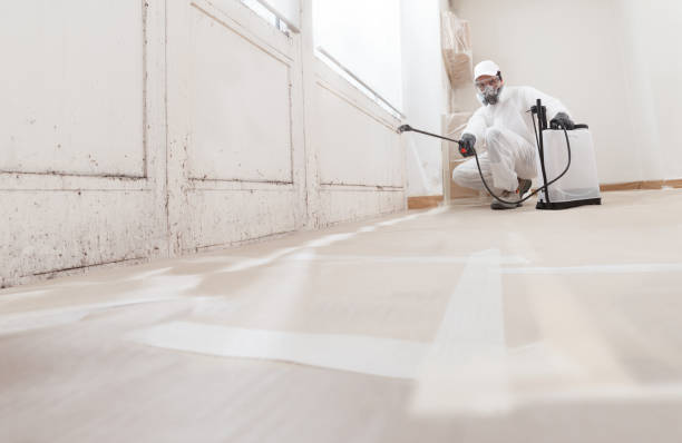 24/7 Emergency Bathroom Mold Removal experts in West Newton, PA